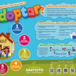 Guía para la adopción en España